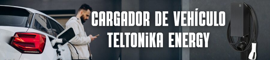 Cargador de Vehículo Teltonika Energy Cargador de Vehículo Teltonika Energy